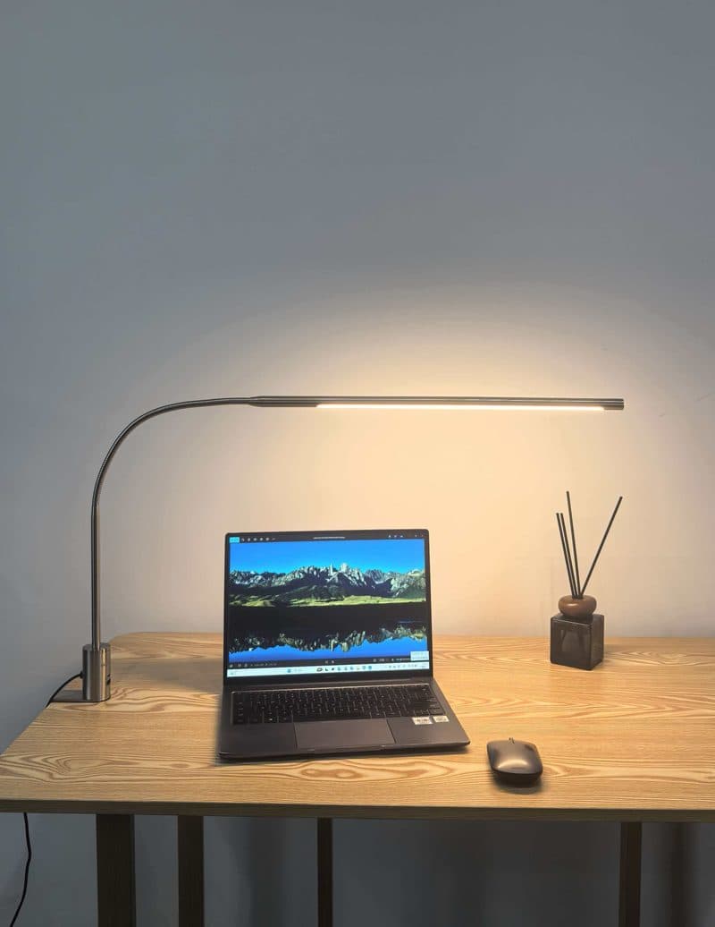 LED Gooseneck Clamp Lamp