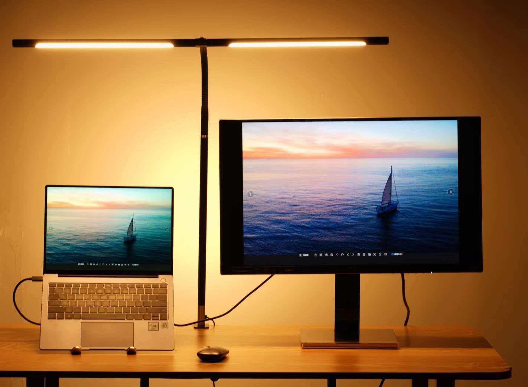 Dual Arm LED Desk Lamp