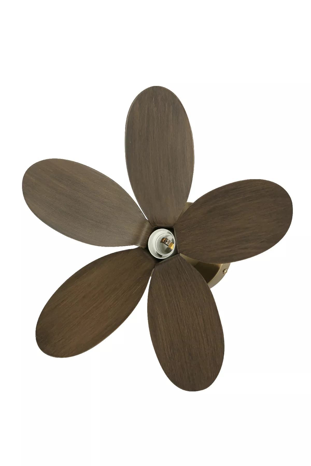 Wood Petal Wall Sconce